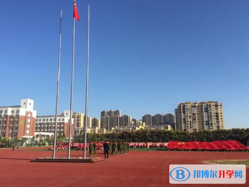 2024望奎縣第二中學(xué)招生計(jì)劃 招生人數(shù)是多少(附要求、條件、對(duì)象)