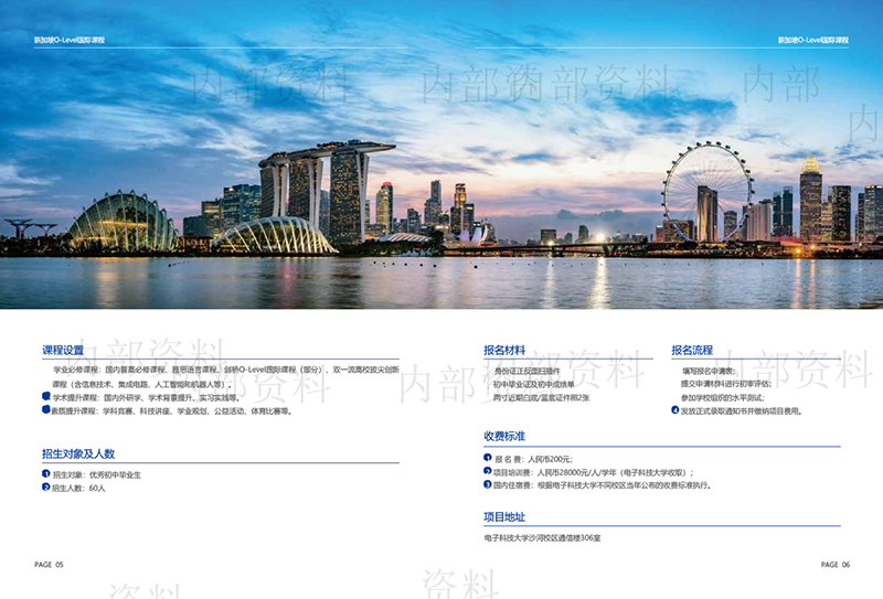 電子科技大學(xué)新加坡O-Level國際課程2024年招生簡章