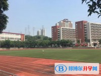 重慶市魯能巴蜀中學(xué)校招生簡章2025年