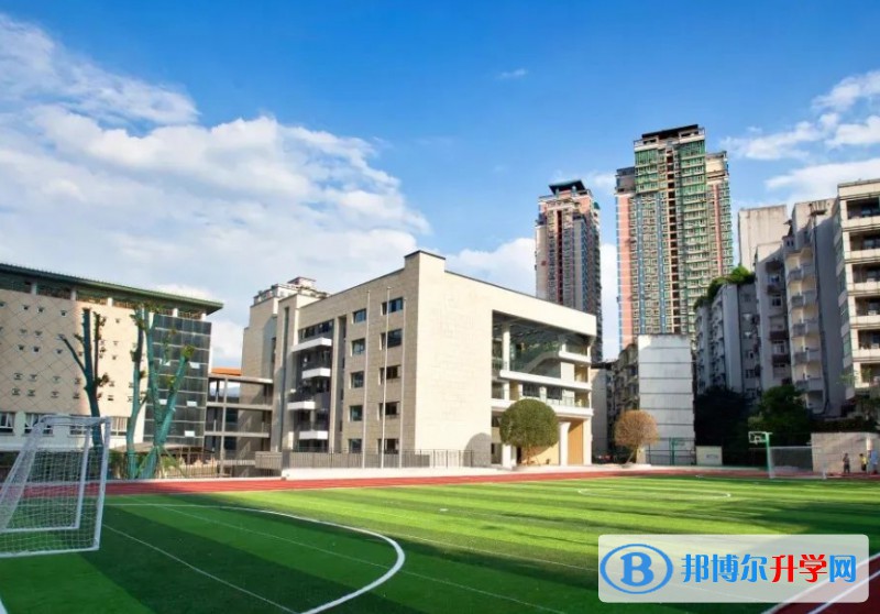 2024沙坪壩區實驗中學招生計劃 招生人數是多少(附要求、條件、對象)