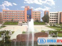 沙坪壩區(qū)實驗中學地址，乘車路線