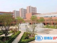 河北聯(lián)邦外國(guó)語學(xué)校招生簡(jiǎn)章2025年