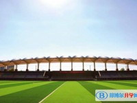 2025河北聯(lián)邦外國(guó)語學(xué)校招生計(jì)劃 招生人數(shù)是多少(附要求、條件、對(duì)象)