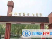 2025邯鄲市第十七中學(xué)招生計(jì)劃 招生人數(shù)是多少(附要求、條件、對(duì)象)