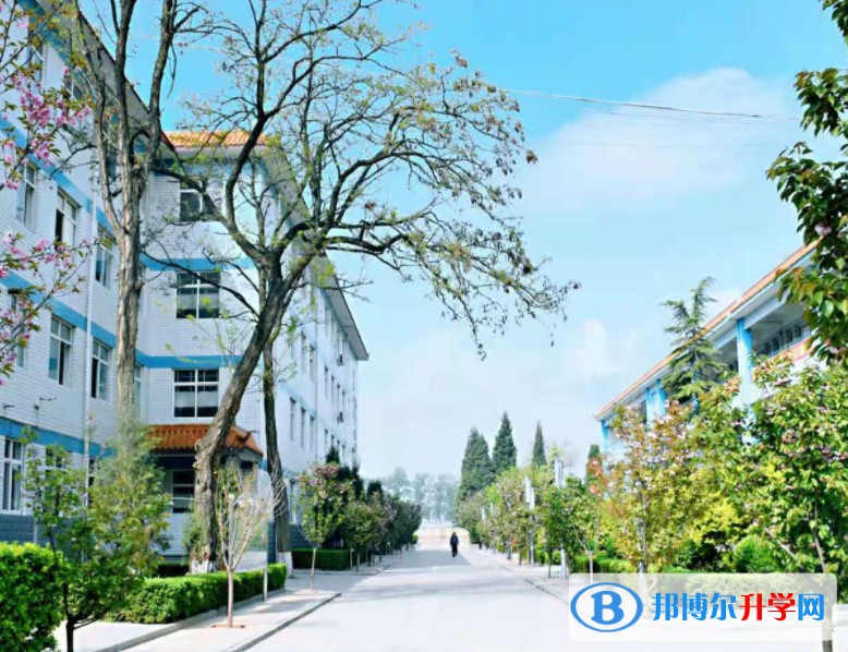 2025保定市徐水區(qū)鞏固莊中學(xué)招生計(jì)劃 招生人數(shù)是多少(附要求、條件、對象)
