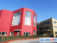 2025青苗學校招生計劃 招生人數是多少(附要求、條件、對象)