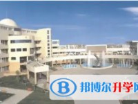 2025大彎中學(xué)招生計(jì)劃 招生人數(shù)是多少(附要求、條件、對(duì)象)
