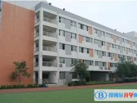 2025石橋中學(xué)招生計(jì)劃 招生人數(shù)是多少(附要求、條件、對(duì)象)