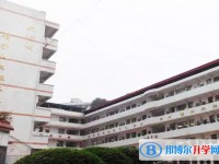2025三星中學(xué)招生計(jì)劃 招生人數(shù)是多少(附要求、條件、對(duì)象)