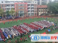 2025自貢六中招生計劃 招生人數是多少(附要求、條件、對象)