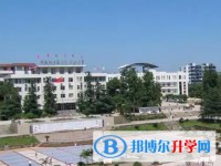2025四川省榮縣中學招生計劃 招生人數是多少(附要求、條件、對象)