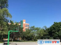 2025自貢市第二十二中學招生計劃 招生人數是多少(附要求、條件、對象)