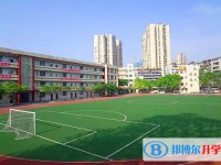自貢市第六中學(xué)校招生簡章2025年