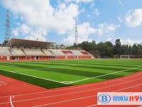 四川省綿陽市豐谷中學招生簡章2025年