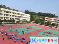 四川省綿陽市豐谷中學怎么樣、好不好