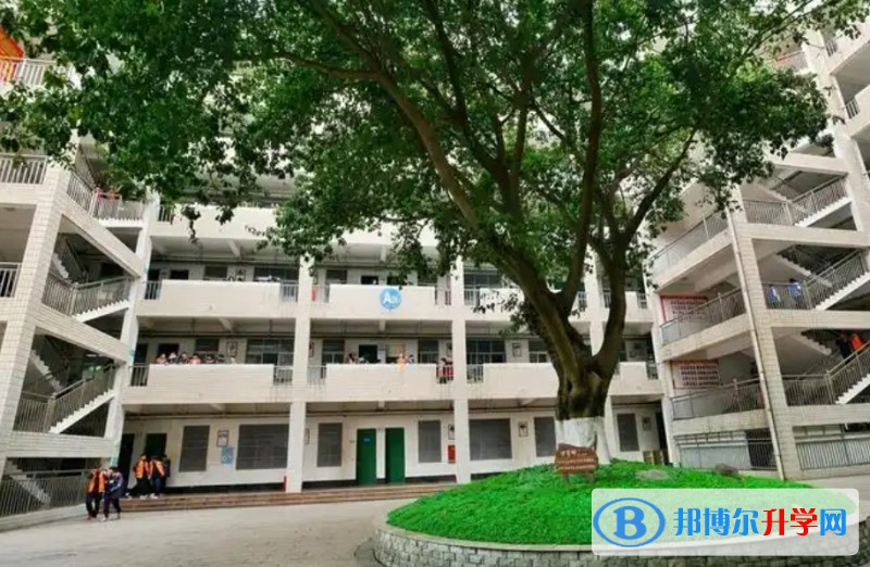 綿陽普明中學招生簡章2025年