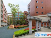 2025綿陽市實驗中學招生計劃 招生人數是多少(附要求、條件、對象)