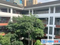 2025綿陽第九中學招生計劃 招生人數是多少(附要求、條件、對象)