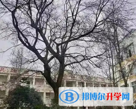江油彰明中學怎么樣、好不好