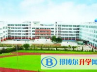 2025太白中學招生計劃 招生人數是多少(附要求、條件、對象)