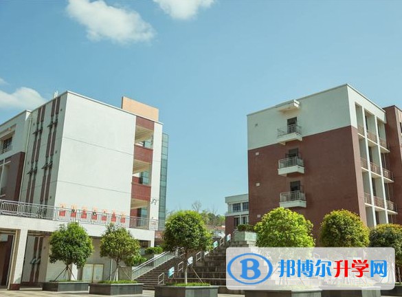 2025四川省科學(xué)城第一中學(xué)招生計劃 招生人數(shù)是多少(附要求、條件、對象)