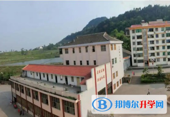 2025四川省蒼溪縣文昌中學(xué)招生計(jì)劃 招生人數(shù)是多少(附要求、條件、對(duì)象)