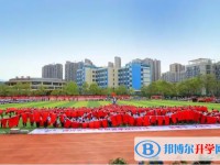 2025廣元外國語學(xué)校招生計(jì)劃 招生人數(shù)是多少(附要求、條件、對(duì)象)