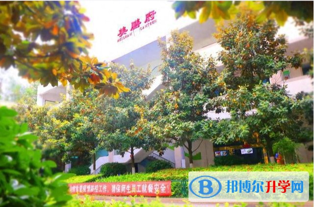 2025四川省廣元外國語學(xué)校招生計劃 招生人數(shù)是多少(附要求、條件、對象)