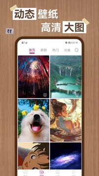 貔喜脈動棋牌截圖